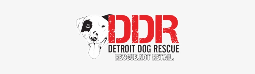 Ddr Png, transparent png download