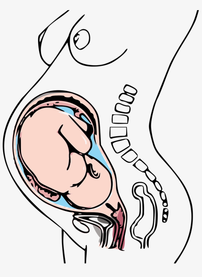 Low Dose Aspirin Can Help With Pregnancy Gerti Tashko,, transparent png download