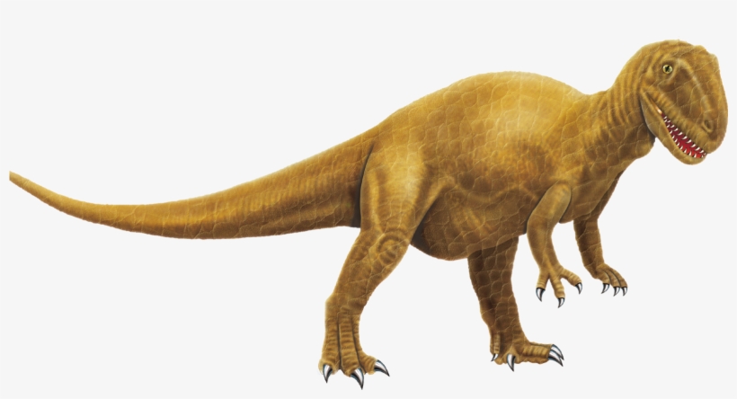 Net, Dinosaurs, Eb, transparent png download