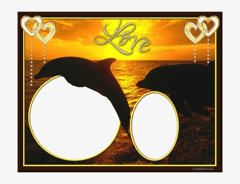Imagenes Marcos Con Delfines Transparent Png 700x550 Free Download On Nicepng