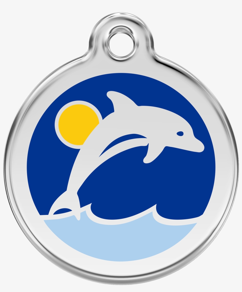 Delfin Png, transparent png download