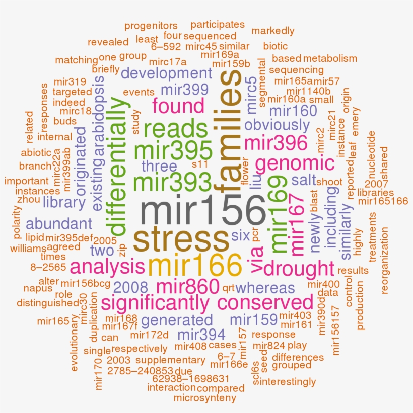 Stem Loop Sequence Bna Mir171a, transparent png download