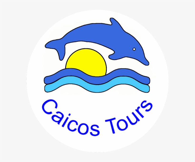 Our Adventures, transparent png download