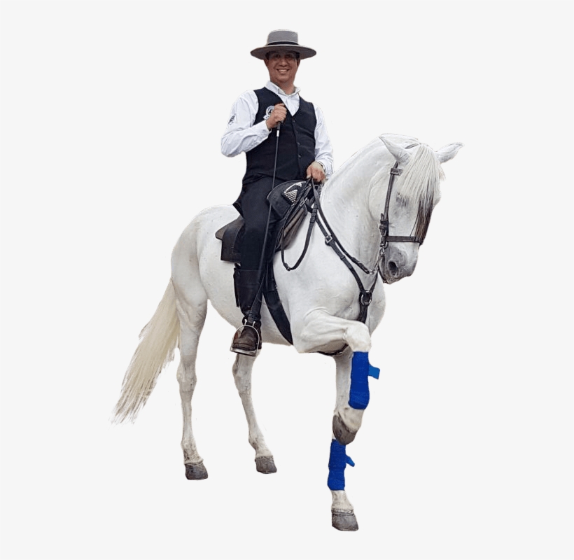 Vive Una Experiencia Inolvidable, transparent png download