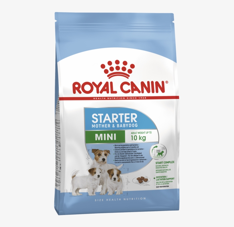 Mini Starter, transparent png download