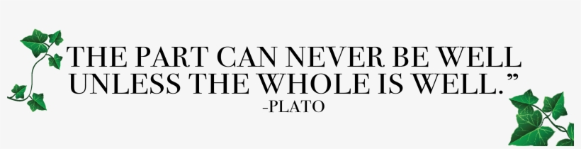 Plato Png, transparent png download