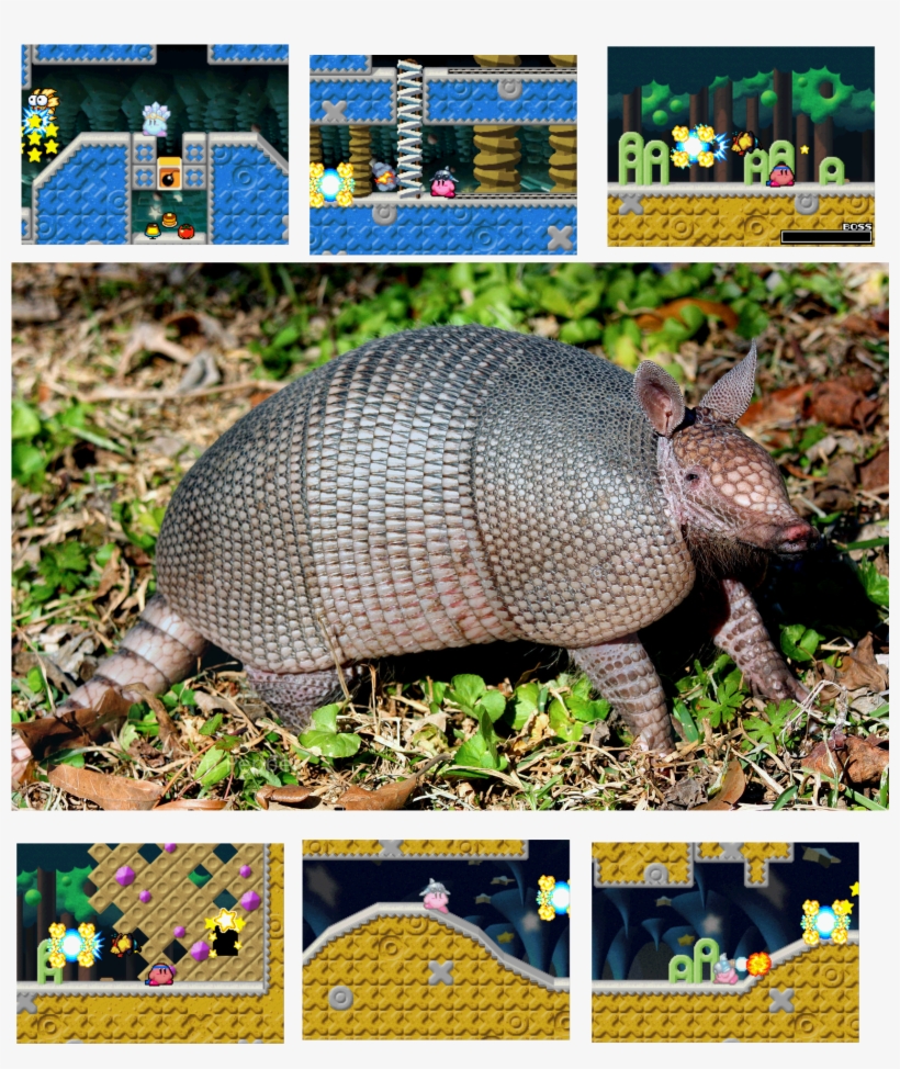 Nine Banded Armadillo Rebirth In Pink Ancient Momomiya, transparent png download