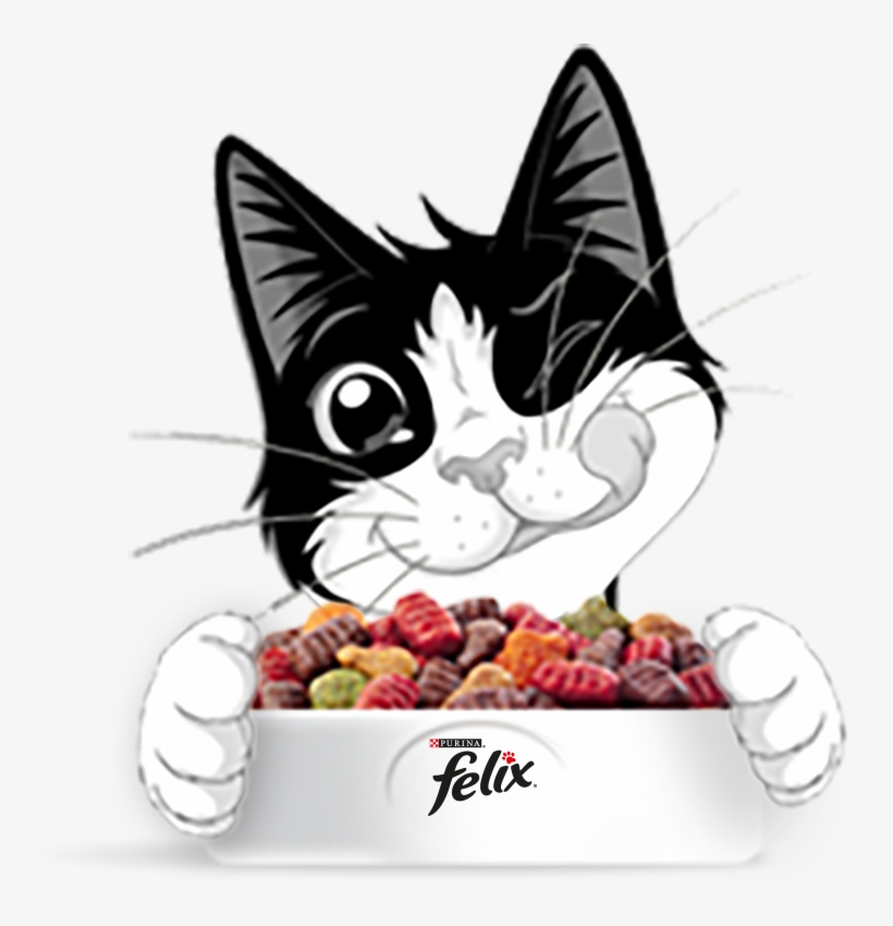 Wist Je Dat Jouw Baasje Met De Zegeltjes Op De Onweerstaanbare, transparent png download