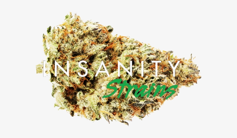 Home / Premium Cannabis Delivery / Hybrid / Area 51, transparent png download