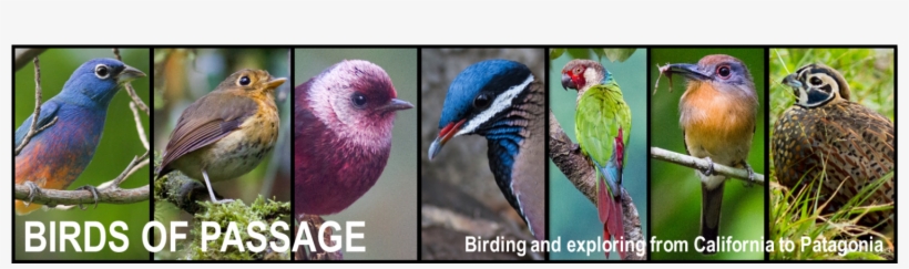 Colombia Map Png, transparent png download