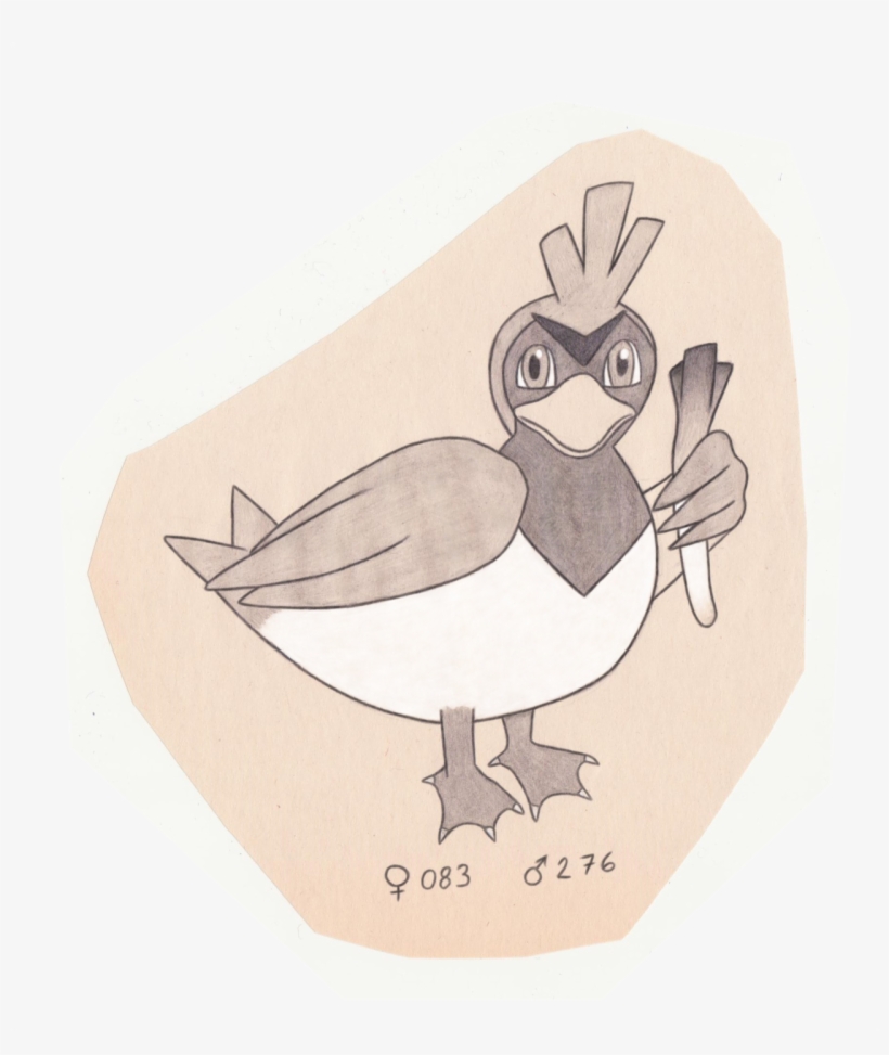 Wild Duck Pokemon, transparent png download