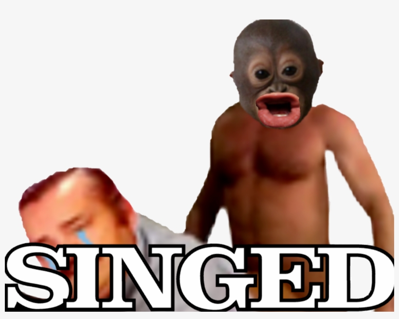 Http - //image - Noelshack - Com/fichiers/2018/04/, transparent png download