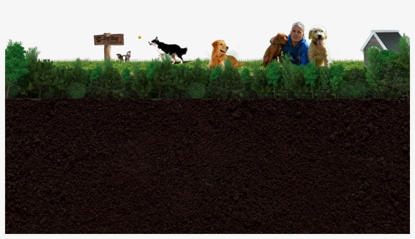 Footer - Grass, transparent png download