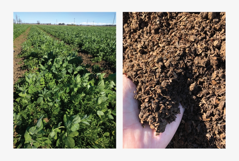 Planting Cover Crops In The Winter Or Applying Compost - Soil, transparent png download