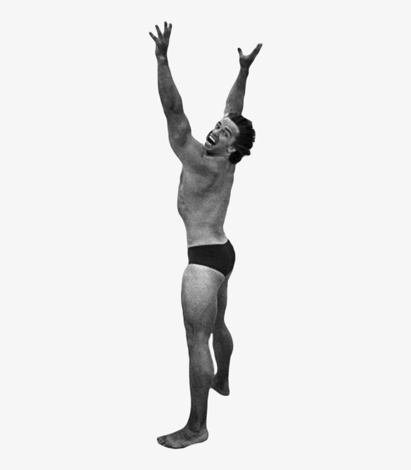 Cutout - Arnold Schwarzenegger Gif Transparent, transparent png download