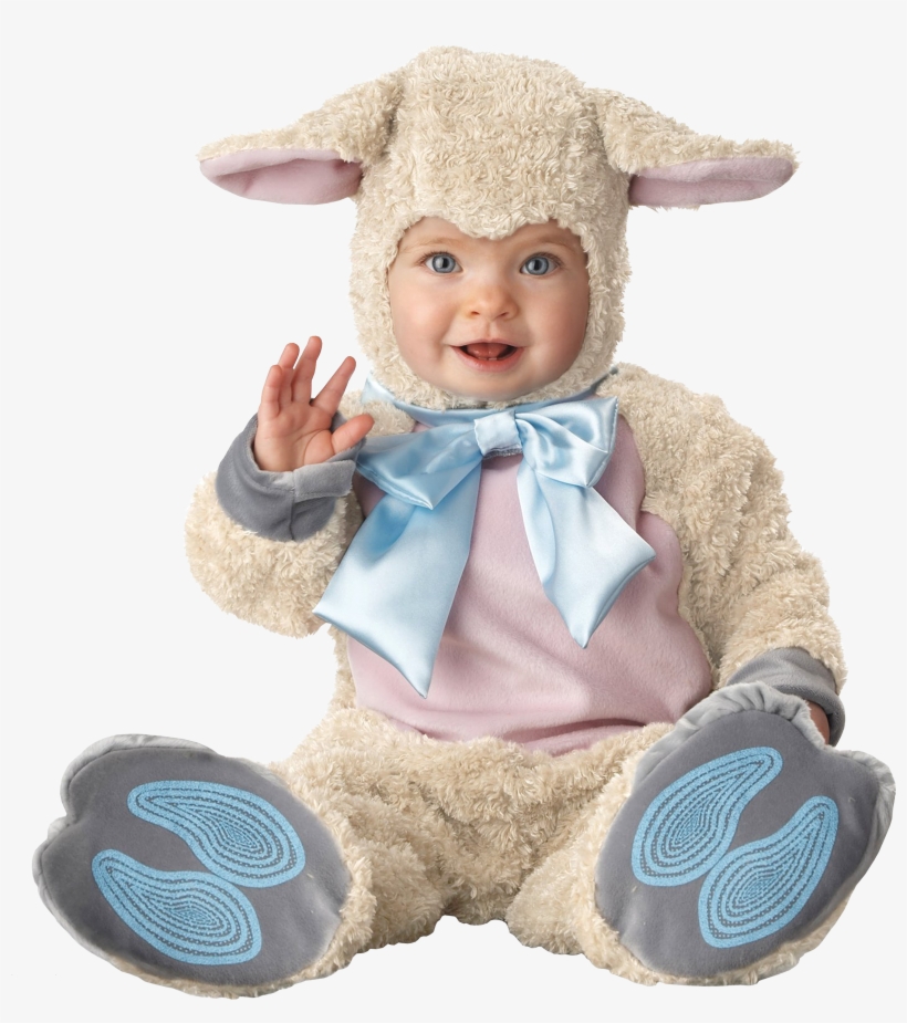 Baby Png In High Resolution - Baby Lamb Costume, transparent png download