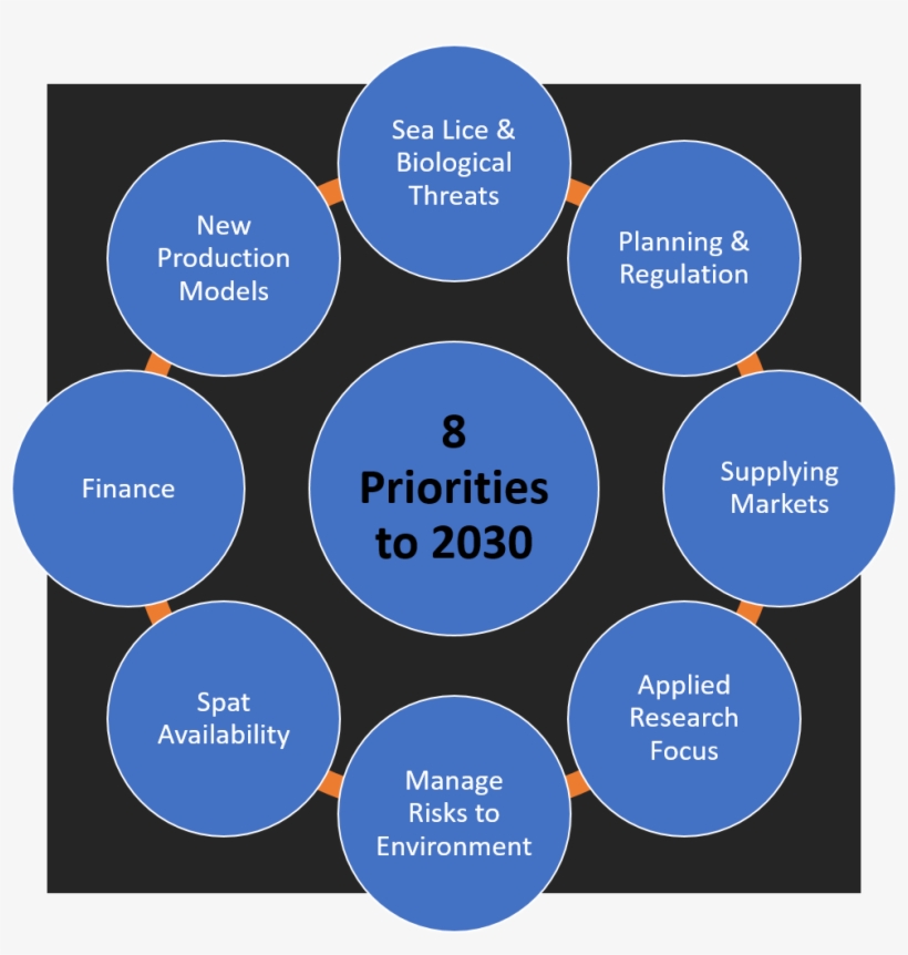 The Aquaculture Roadmap Identifies Eight Strategic - Aquaculture, transparent png download