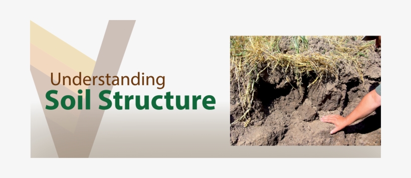 What Affects Soil Structure - Soil, transparent png download