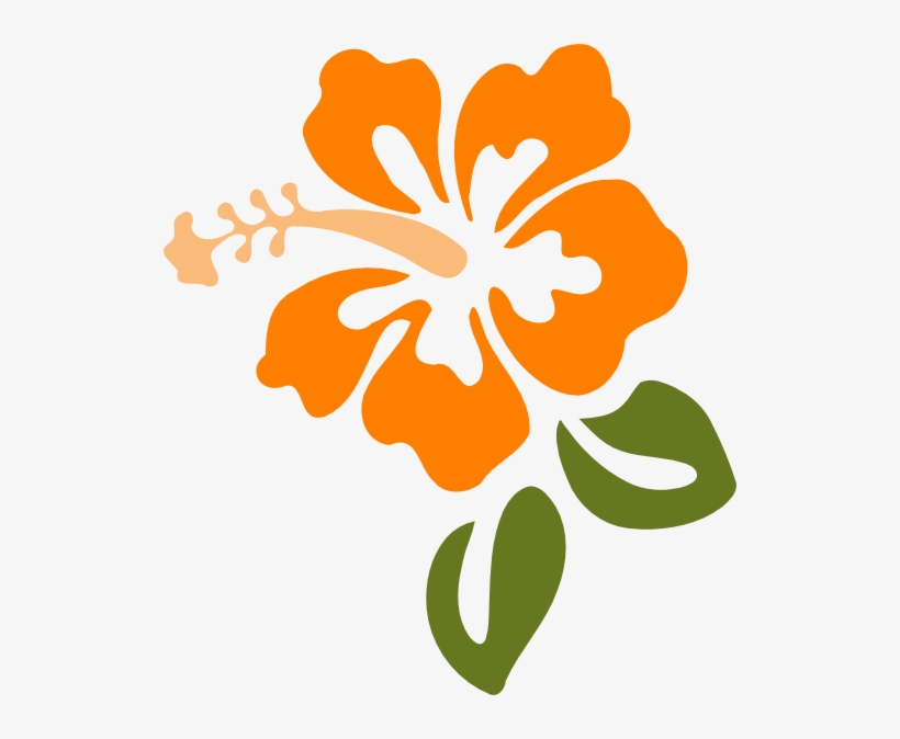 Hibiscus Clip Art, transparent png download