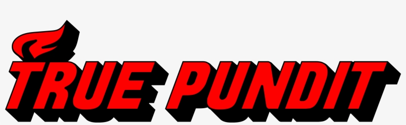 True Pundit, transparent png download