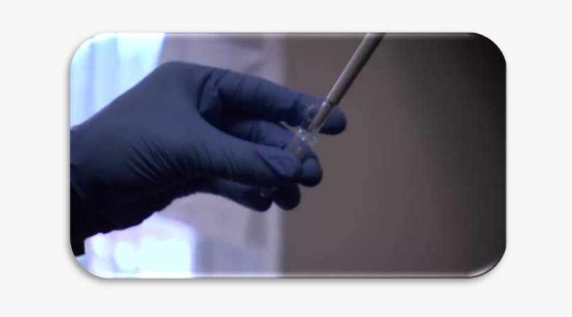 The Cardiostart Summer Program Exposes Students To - Stylus, transparent png download