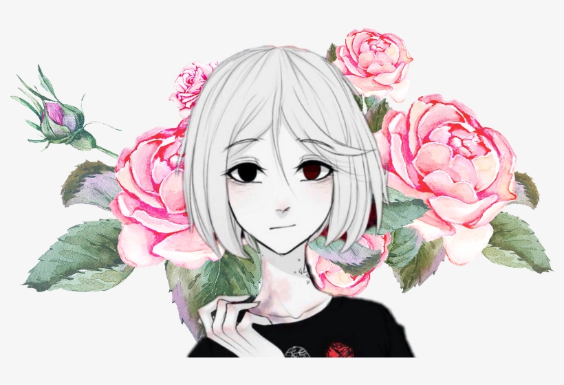 Feathers Appear Angels Are Near: Feather Journal/notebook/diary, transparent png download