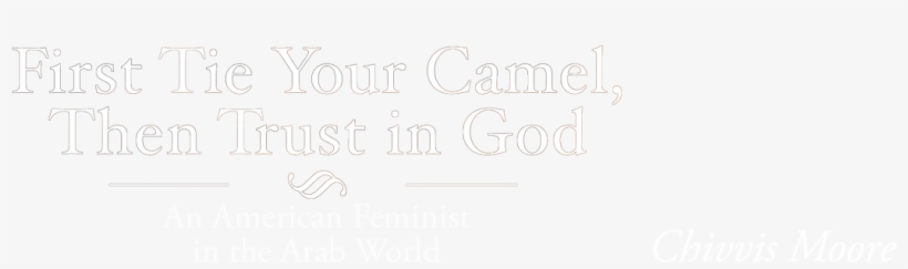 American Lesbian Feminist Defends Muslim World In New - Chivvis Moore, transparent png download