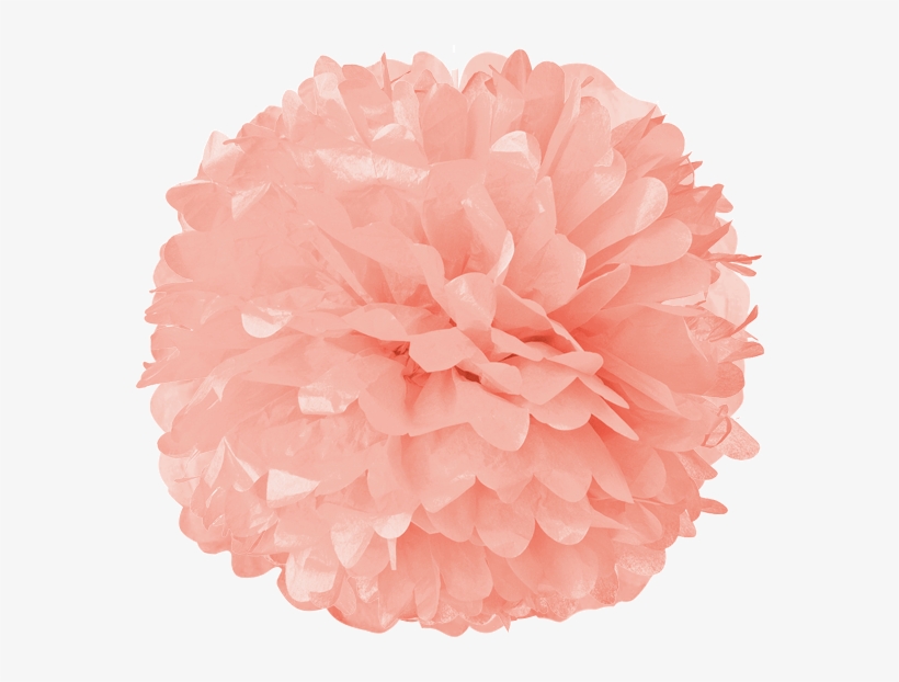 Carnation Tissue Pom Poms - Turquoise Blue 15 Inch Tissue Paper Flower Pom-pom, transparent png download