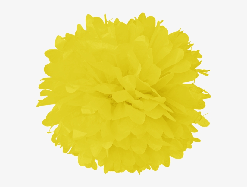 Process Yellow Tissue Pom Poms - Turquoise Blue 20 Inch Tissue Paper Flower Pom-pom, transparent png download