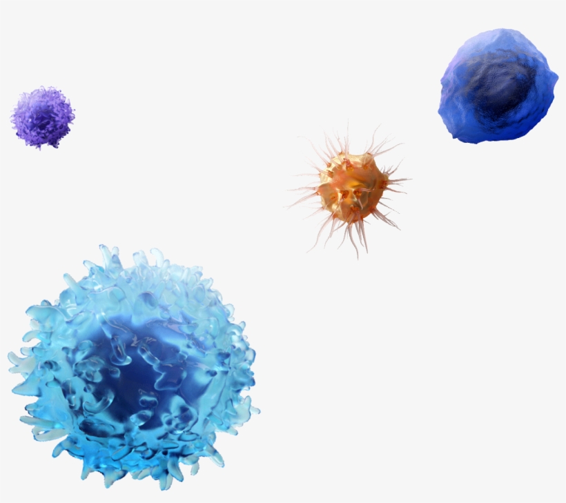 Molecules - Molecule, transparent png download