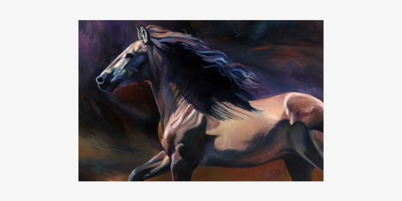 Susan Sheets - Stallion, transparent png download