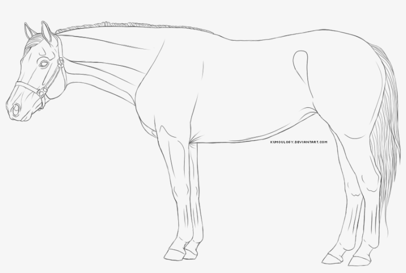 Free To Use - Mare, transparent png download