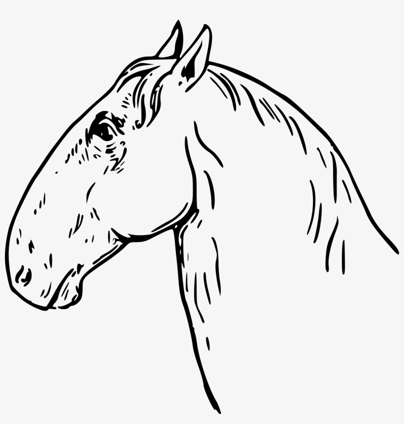 This Free Icons Png Design Of Ram-headed Horsehead, transparent png download