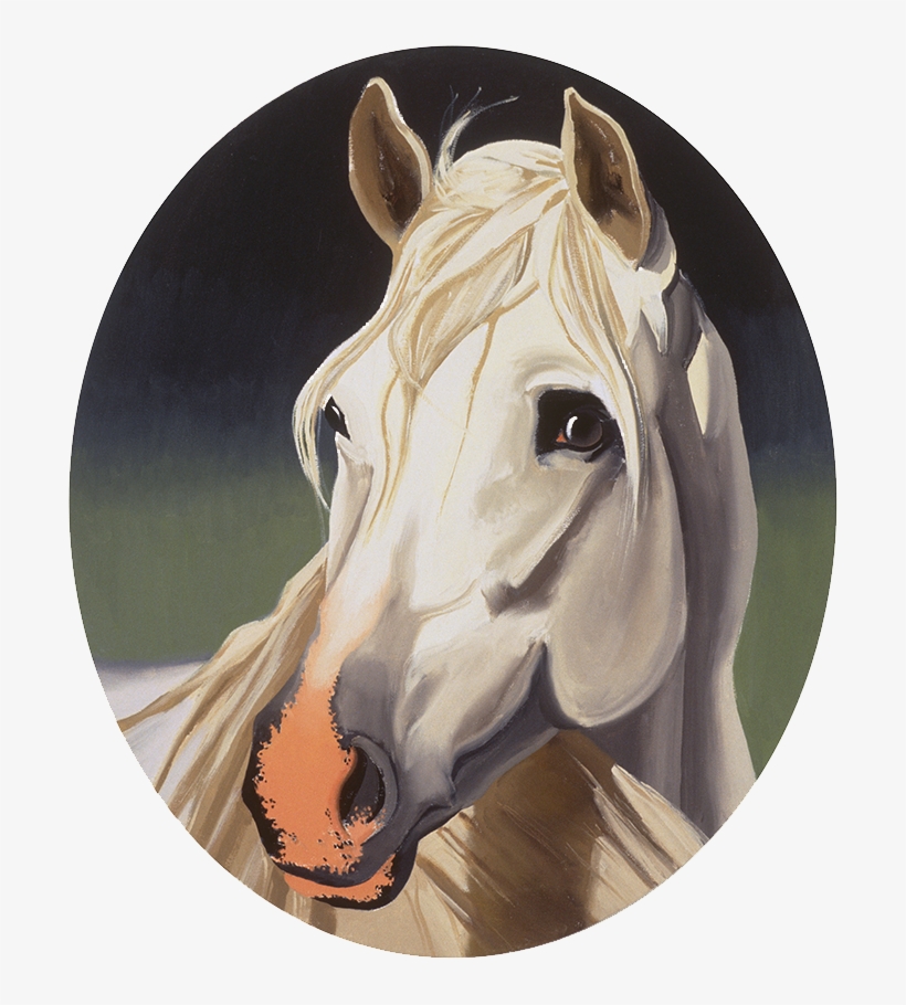 Piper - Stallion, transparent png download