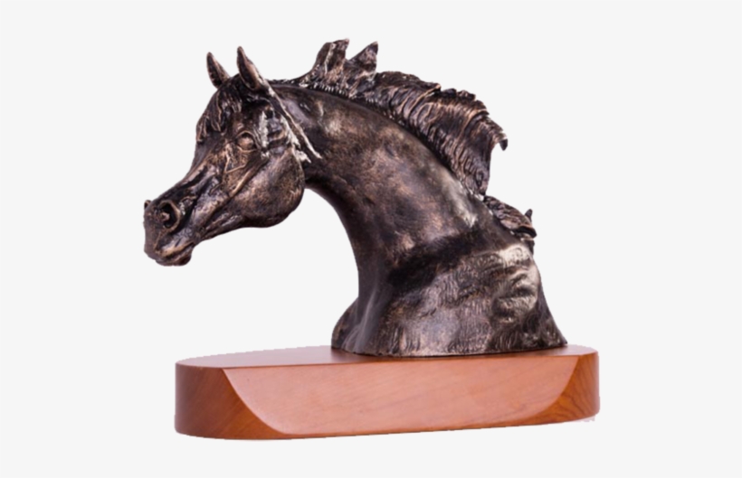 Arcb Arabian Series - Television Show, transparent png download