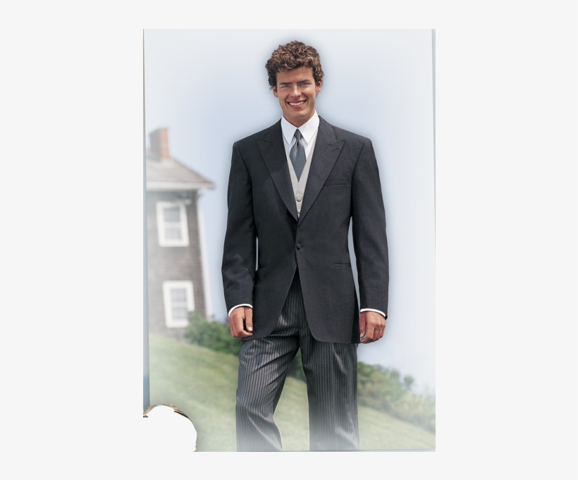 Coat Color - Grey Tuxedo, transparent png download