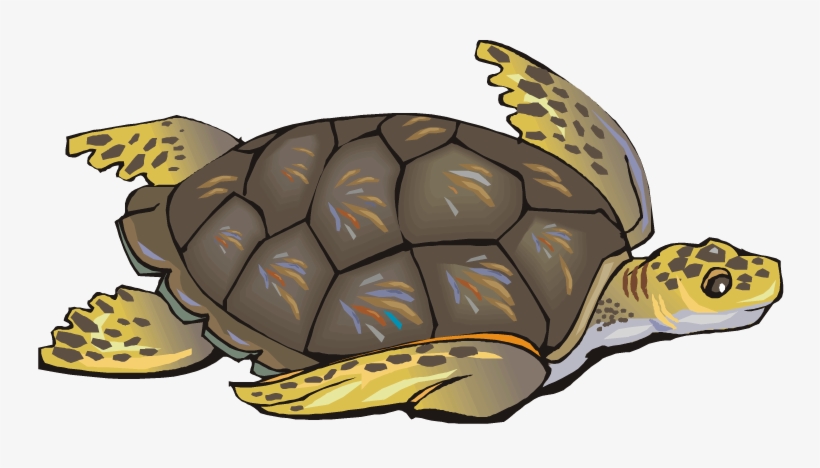 Sea Clip Art Free - Protect Sea Turtles Shower Curtain, transparent png download