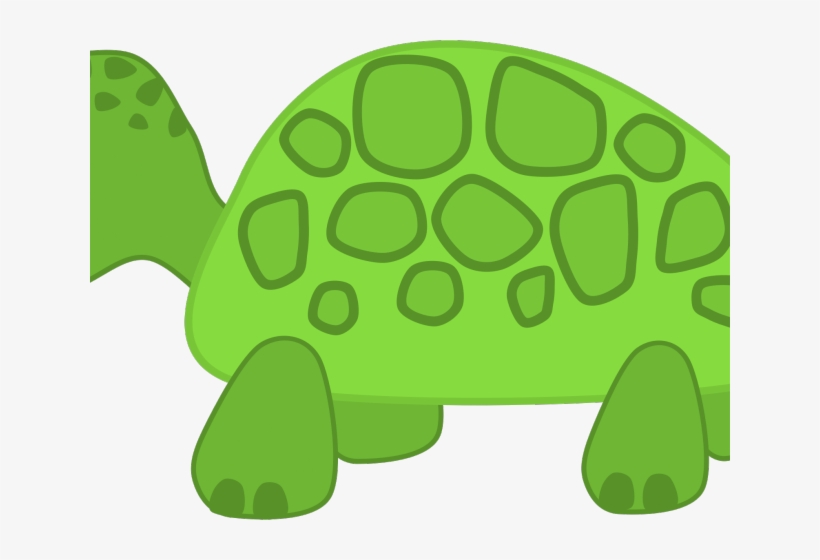 Cute Turtle Clipart - Turtle Clip Art Transparent, transparent png download