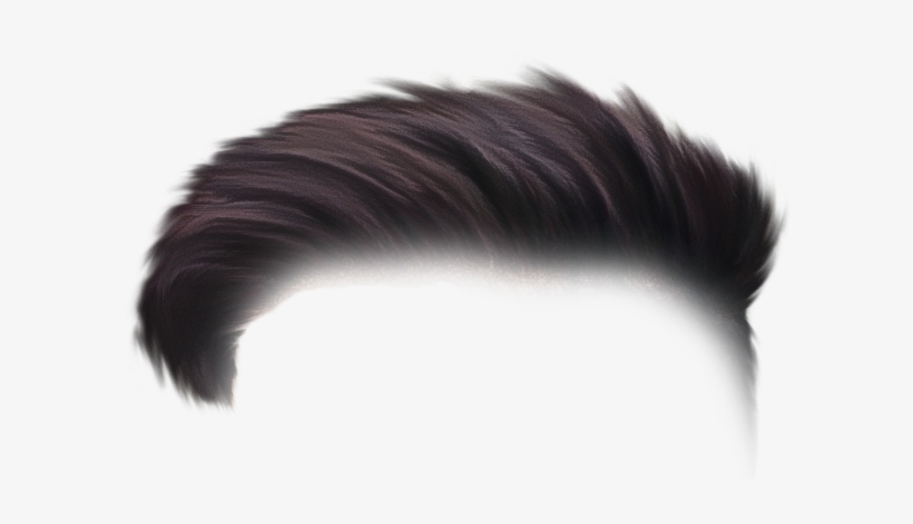 Hair Png - Hair, transparent png download