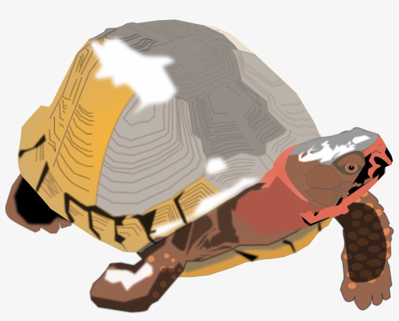 Big Image Png - Gnarly Turtles Pillow Case, transparent png download