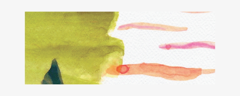 Macro Photography, transparent png download