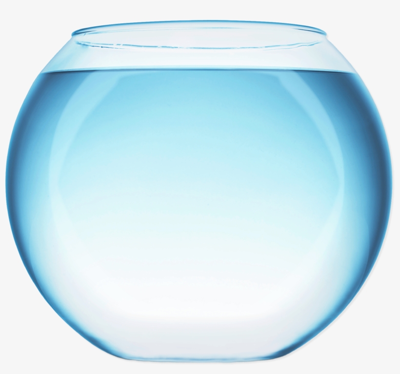 Miscellaneous - Fish Bowl Png Transparent, transparent png download