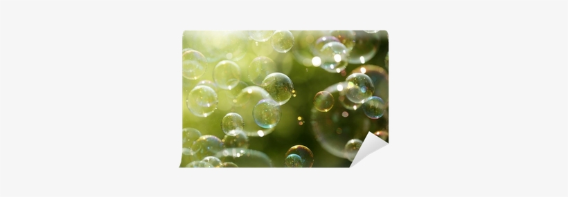 Summer Sunlight And Soap Bubbles Wall Mural • Pixers® - Poster: Flynt's Soap Bubbles Floating In The Air As, transparent png download