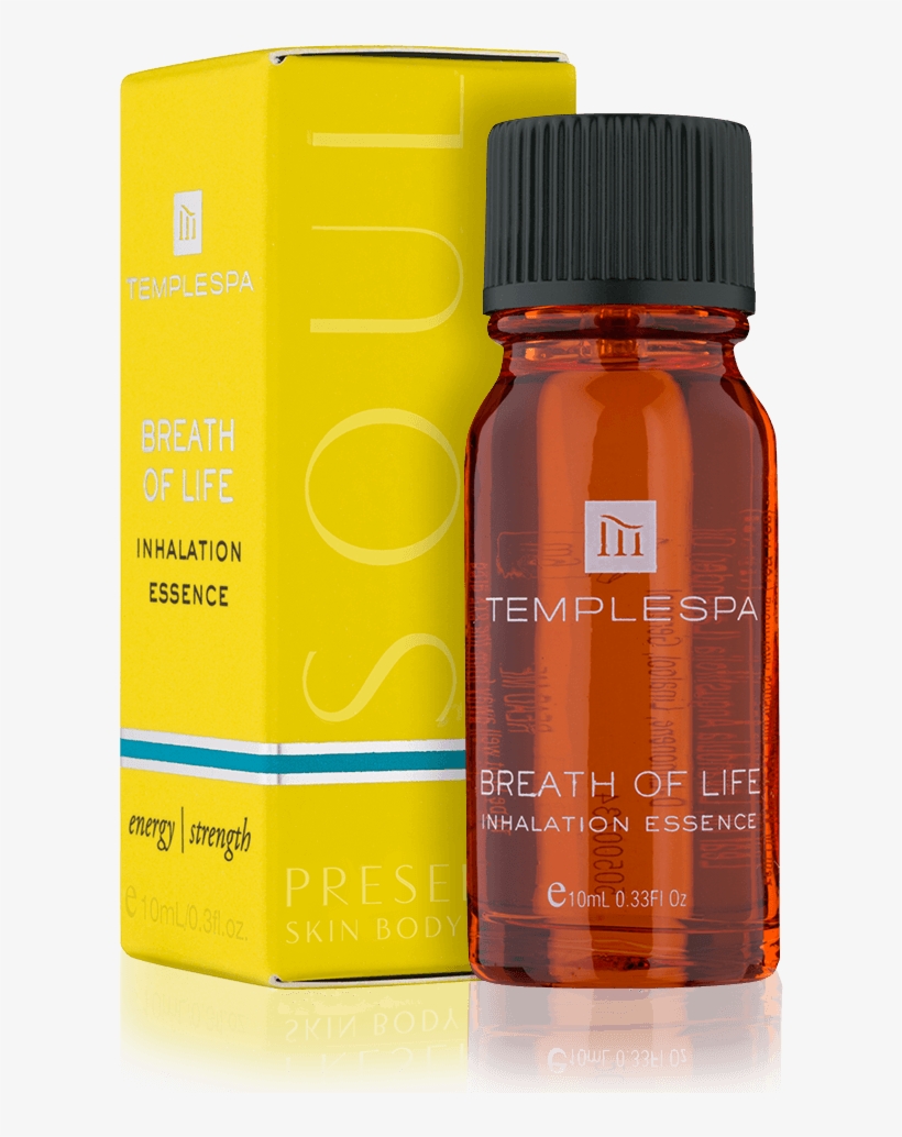 Skip To The Beginning Of The Images Gallery, transparent png download