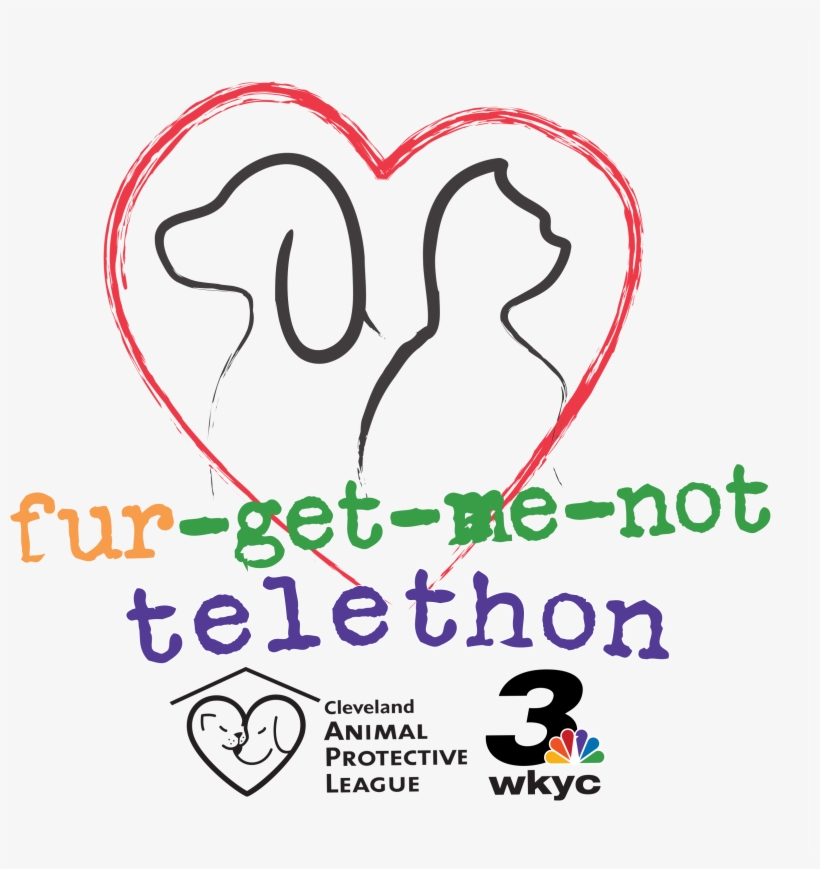 Furgetmenot Logo No Sponsor, transparent png download