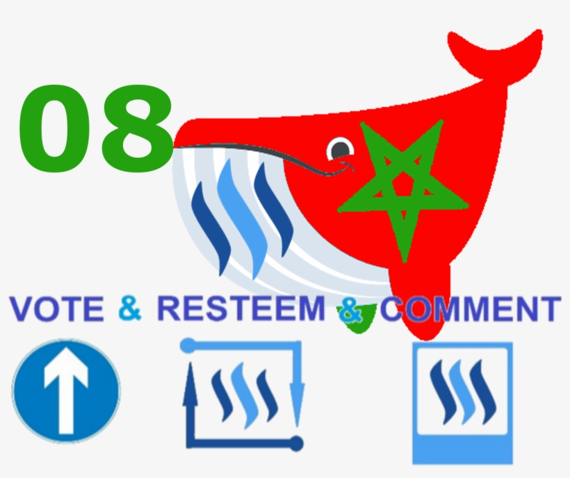 Morwhale Logo Final 08, transparent png download