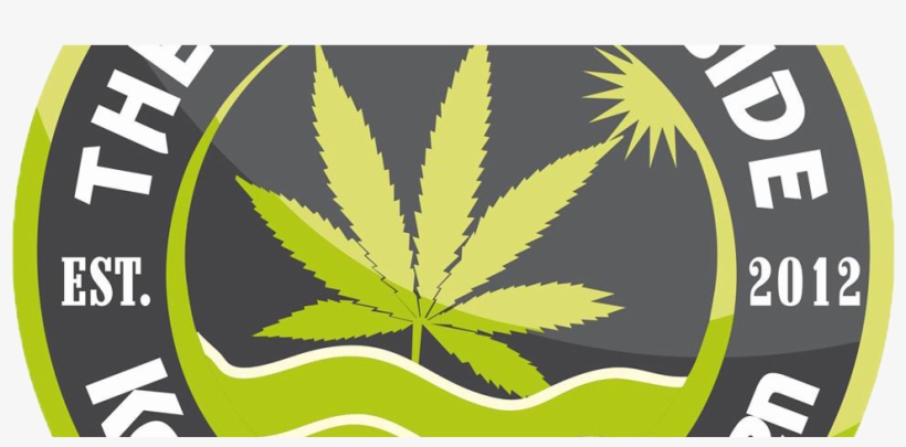 Previousnext, transparent png download