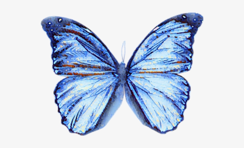 Butterfly Blue Watercolour Blur Effect, transparent png download