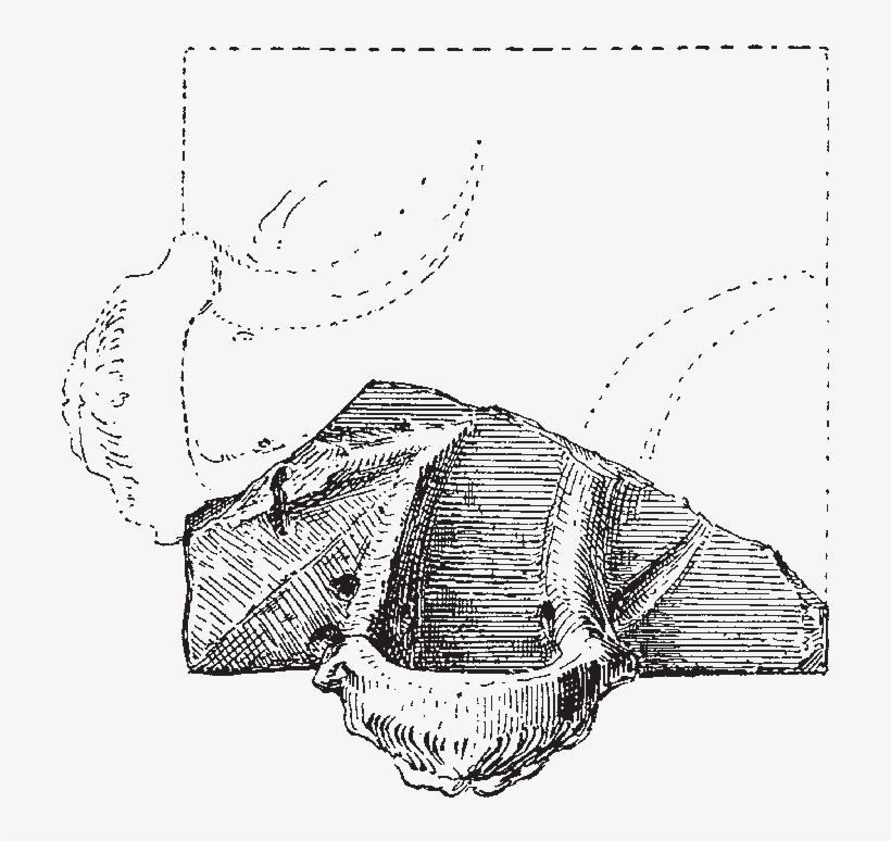The Restored Waterspout May Have Been The Head Of A, transparent png download