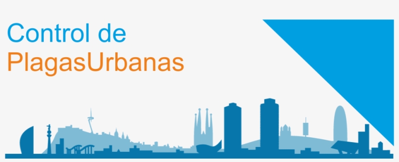 Excellent Anterior Siguiente With Como Eliminar Cucarachas, transparent png download